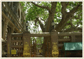 Mahabodhi temple